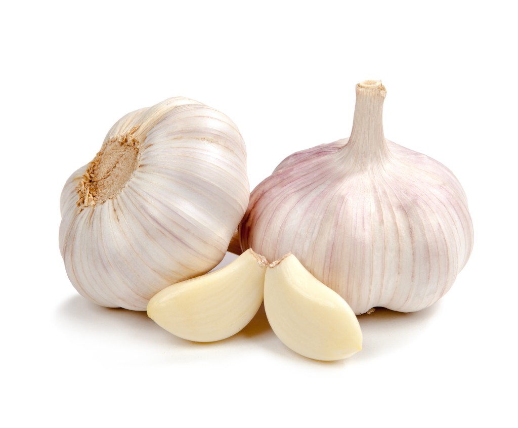 Garlic for uti treatment