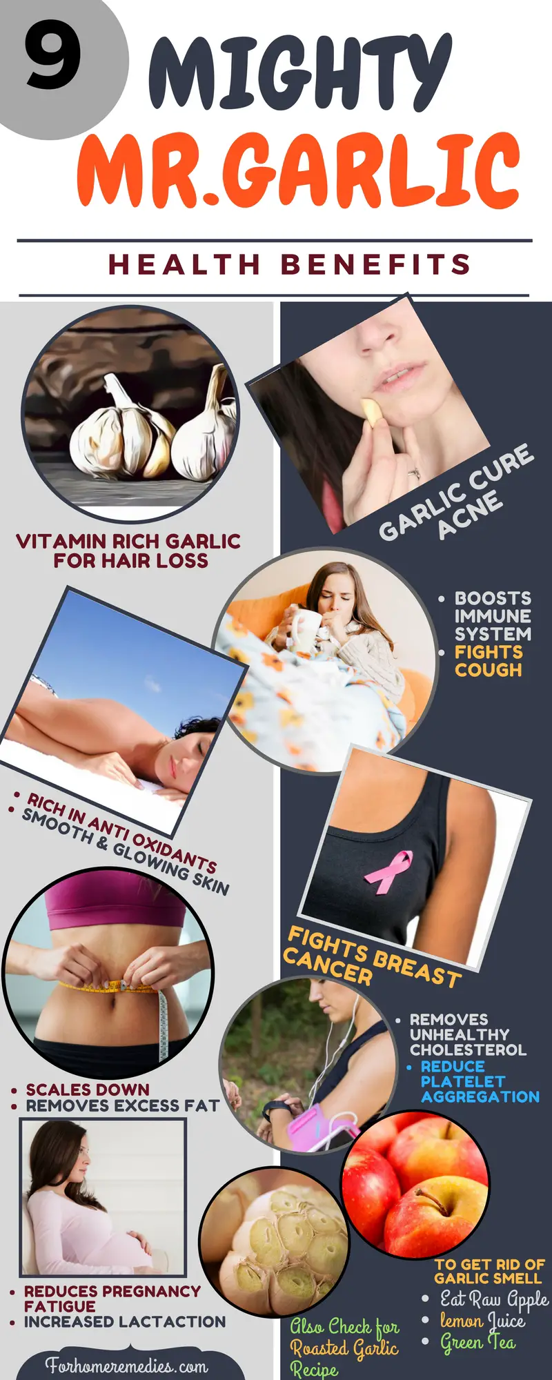 Health Benefits of Garlic for Hair Skin Body and Immune System