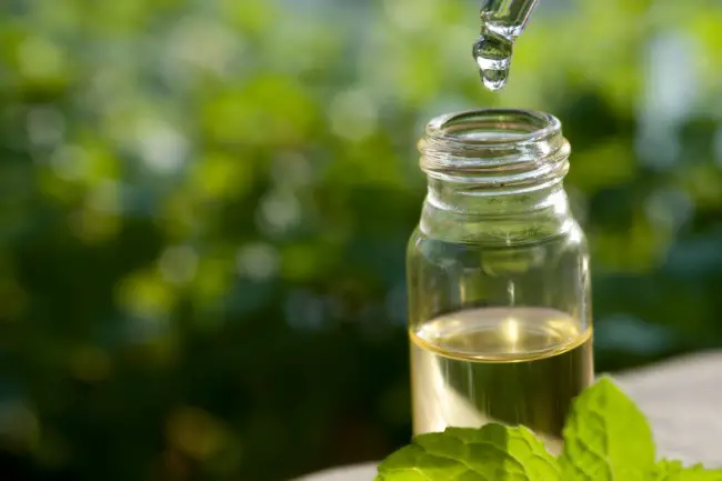 Tea Tree Oil uses and For home reemdies