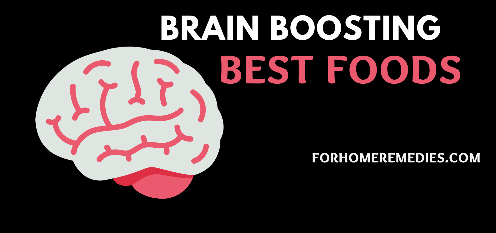 Healthy Brain: 10 Best Foods to Boost Your Brain Power